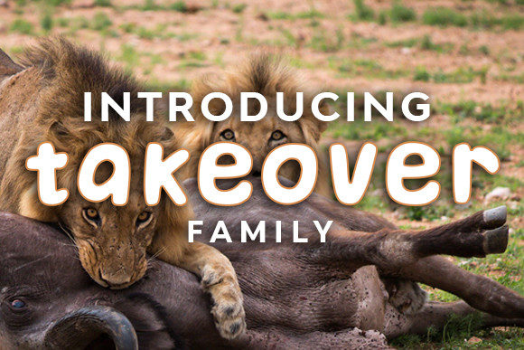Takeover: The Font That Makes Your Brand Look Bold and Consistent
